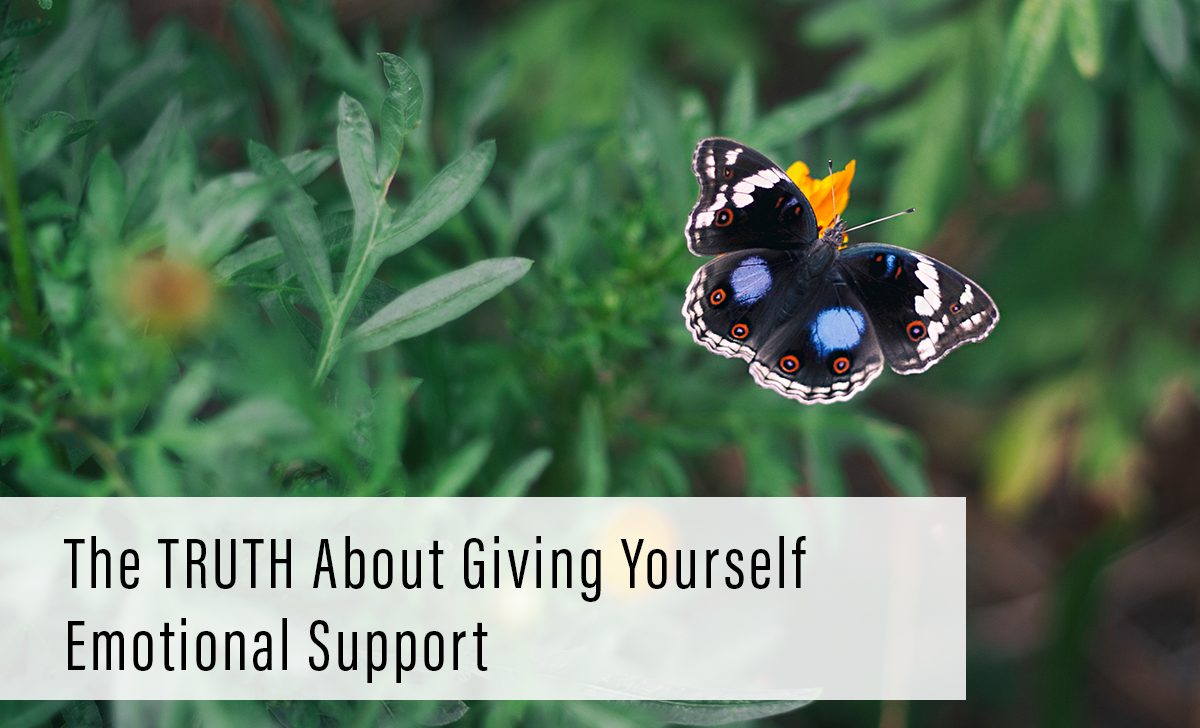 emotional support - butterfly
