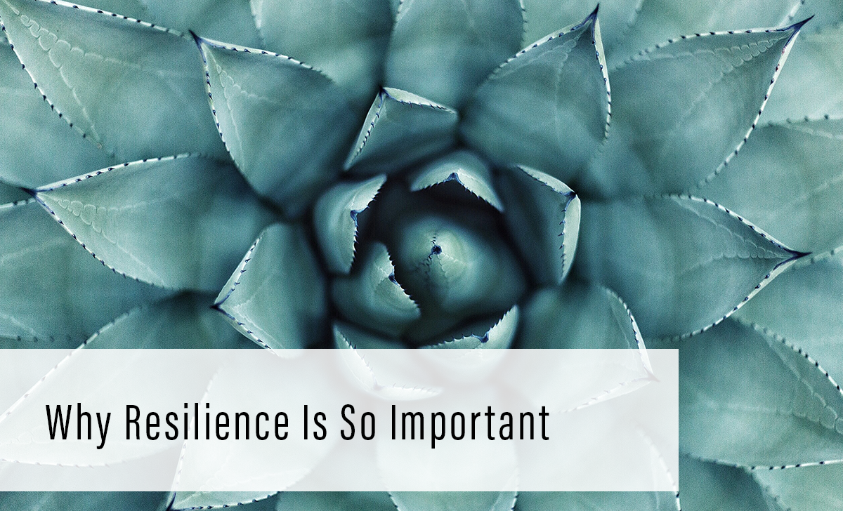 why resilience is important